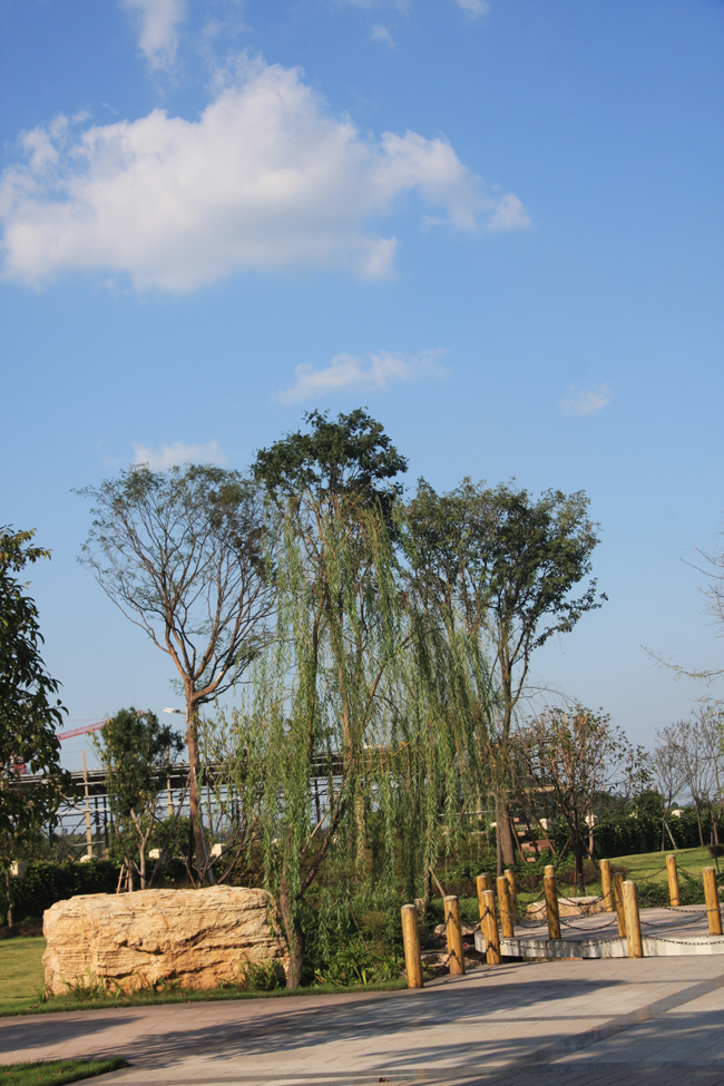 �౦�羺|�����ٷ���վ